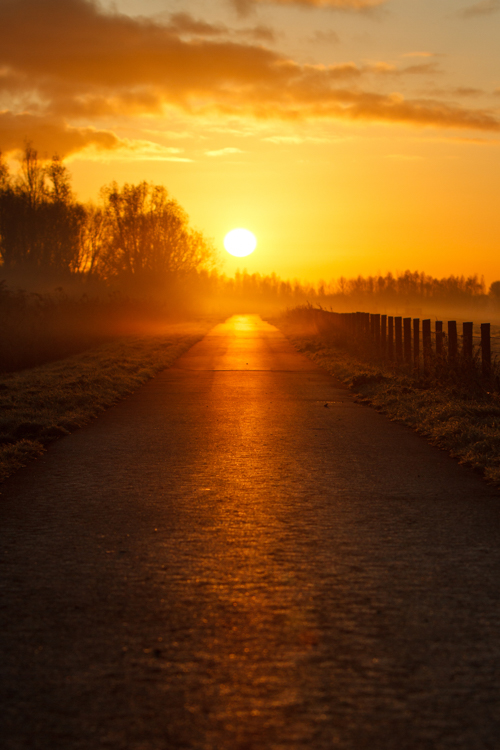 Road to the light